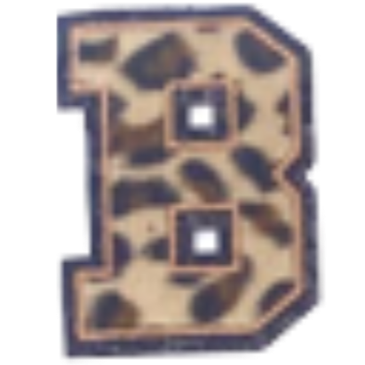 Columbia Letter Leopard Decal