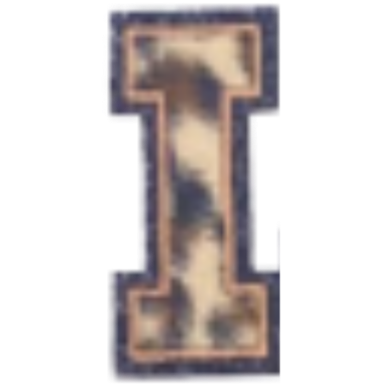 Columbia Letter Leopard Decal