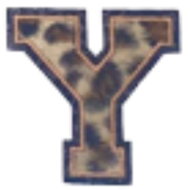 Columbia Letter Leopard Decal