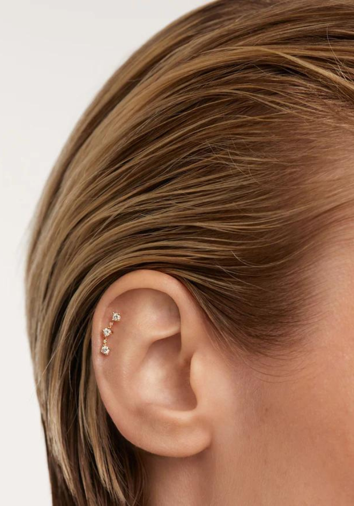 Piercing Liberty - PDPAOLA