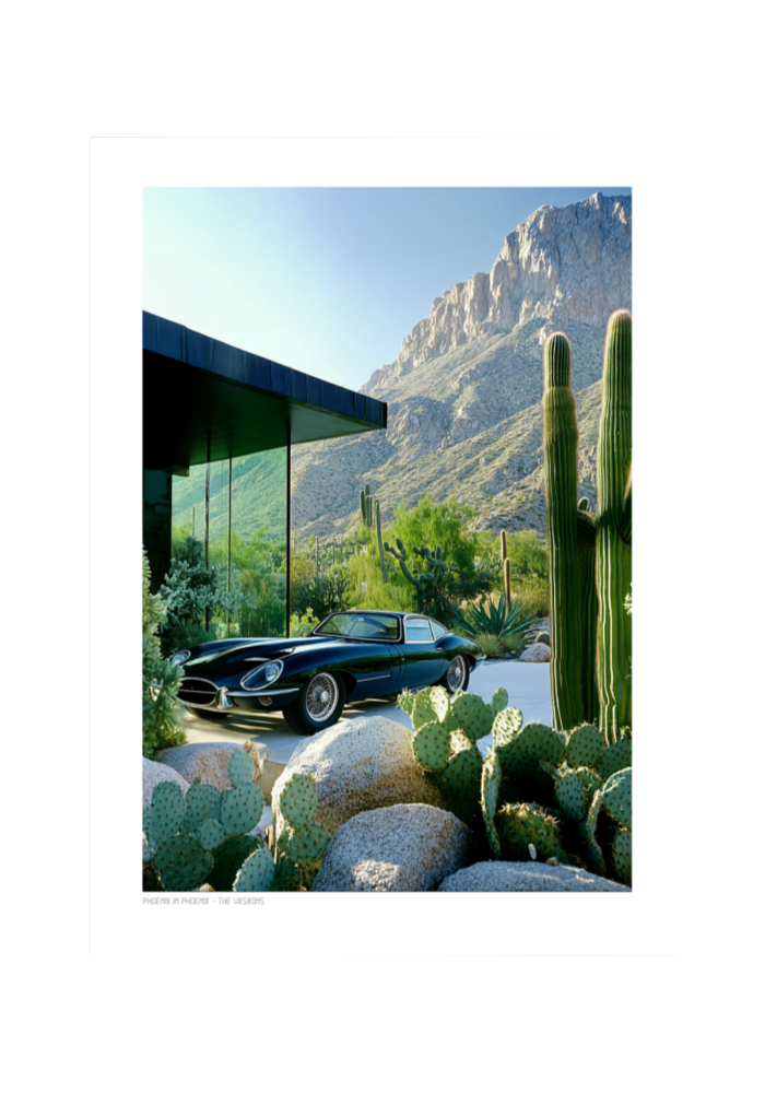 Affiche 014 - Phoenix In Phoenix 30x40
