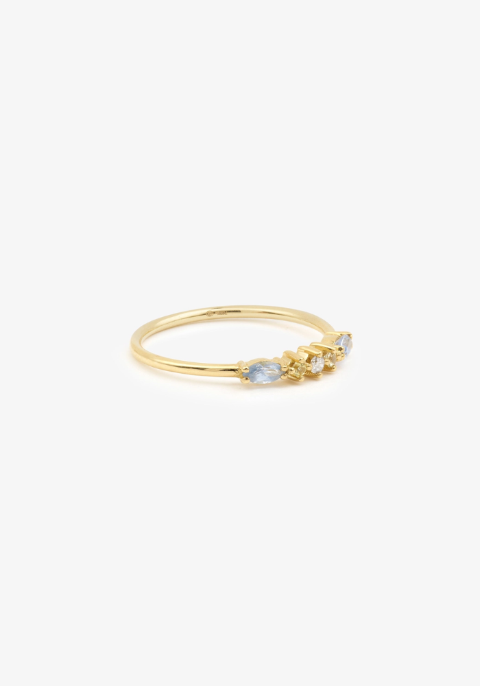 Bague Gaia 6 Givre - Sophie D'Agon