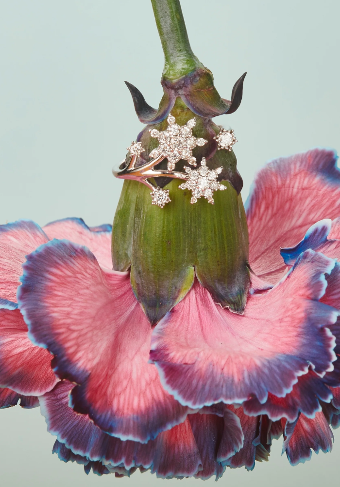 Bague Jardin Cosmique - Rosa Maïtea