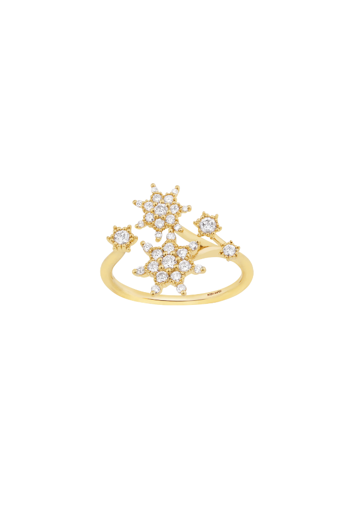 Bague Jardin Cosmique - Rosa Maïtea