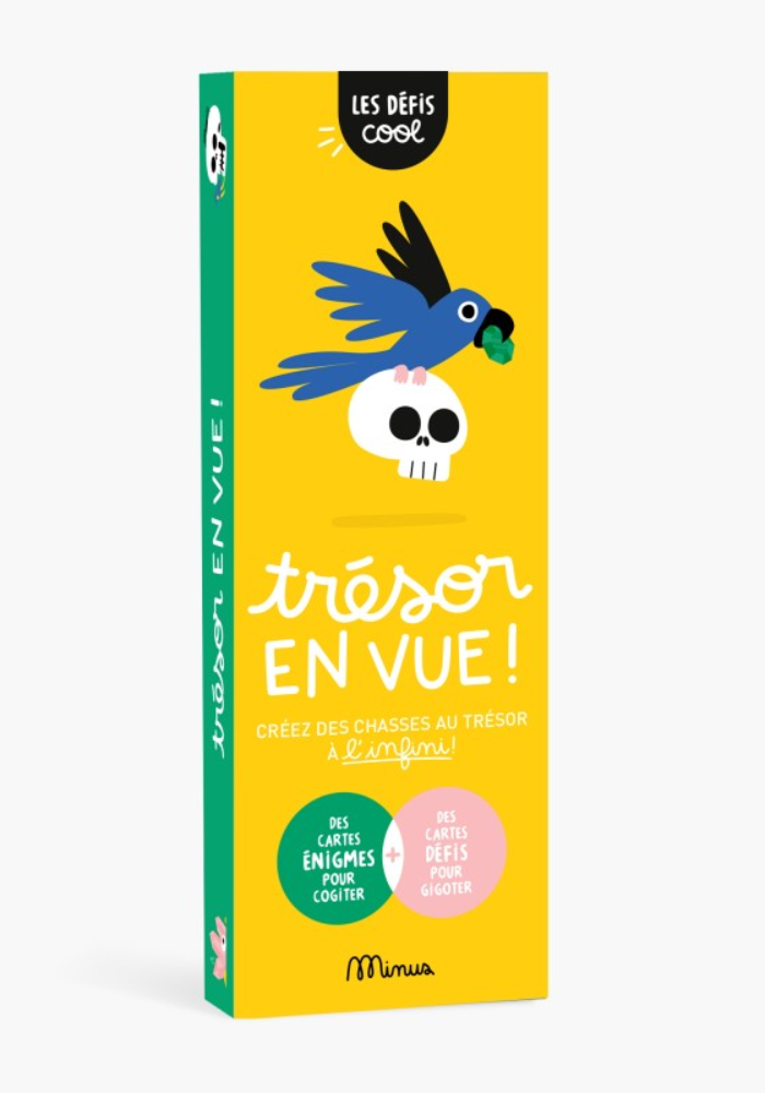 Boîte De 2 Jeux Les Défis Cool Trésor En Vue - Minus