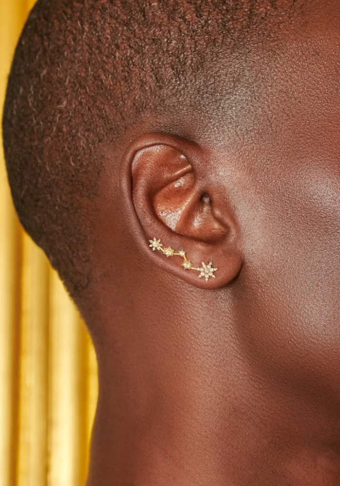 Boucle D'Oreille Jardin Cosmique - Rosa Maïtea