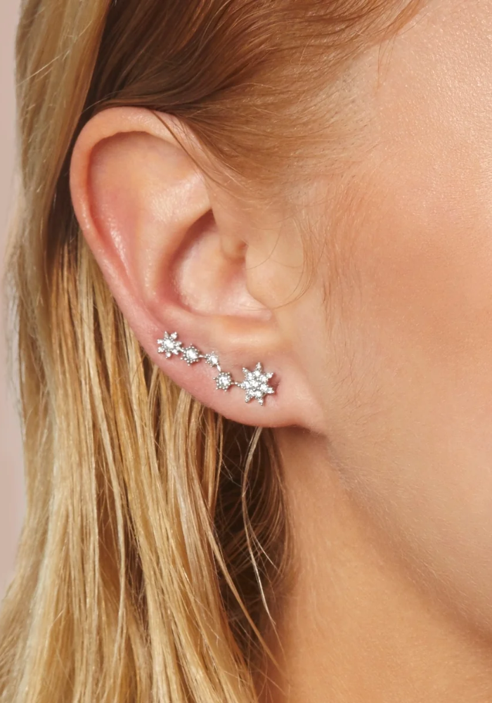 Boucle D'Oreille Jardin Cosmique - Rosa Maïtea