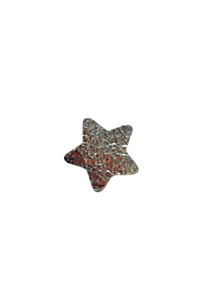 Broche Étoile Cuir Irisé Petit Modèle Argent - Les Cleias