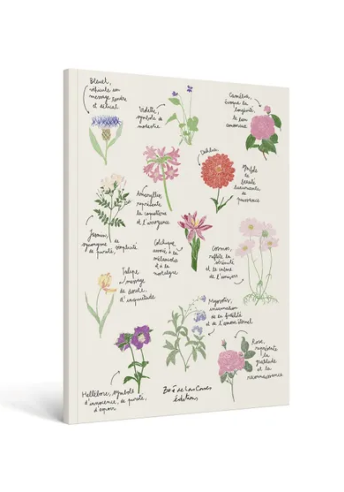 Grand Carnet Fleurs - Maison D'Édition