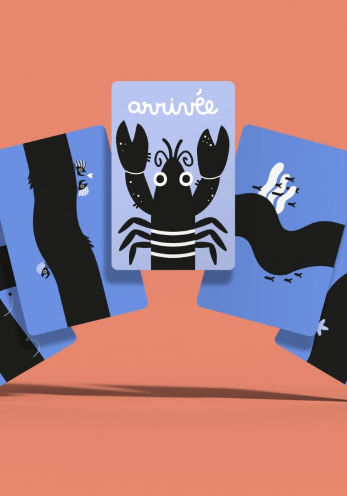 Jeu De Cartes Cul De Sac - Minus