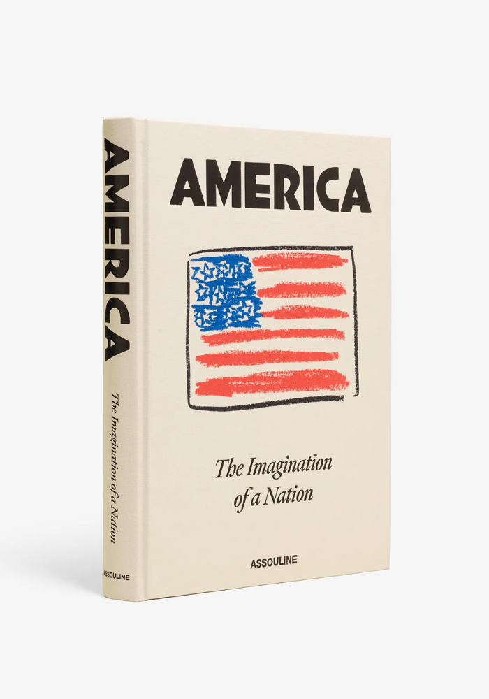 Livre America The Imagination Of A Nation - Assouline