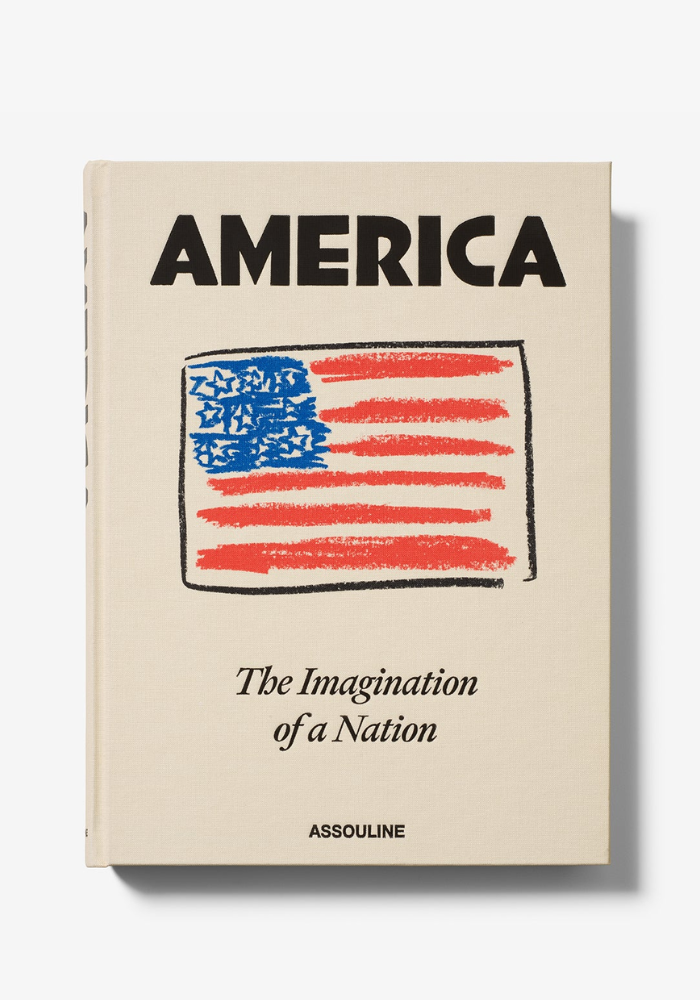 Livre America The Imagination Of A Nation - Assouline