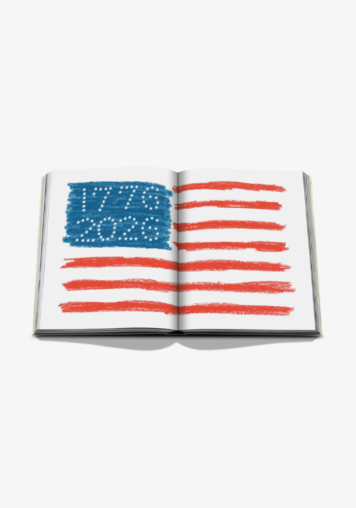 Livre America The Imagination Of A Nation - Assouline