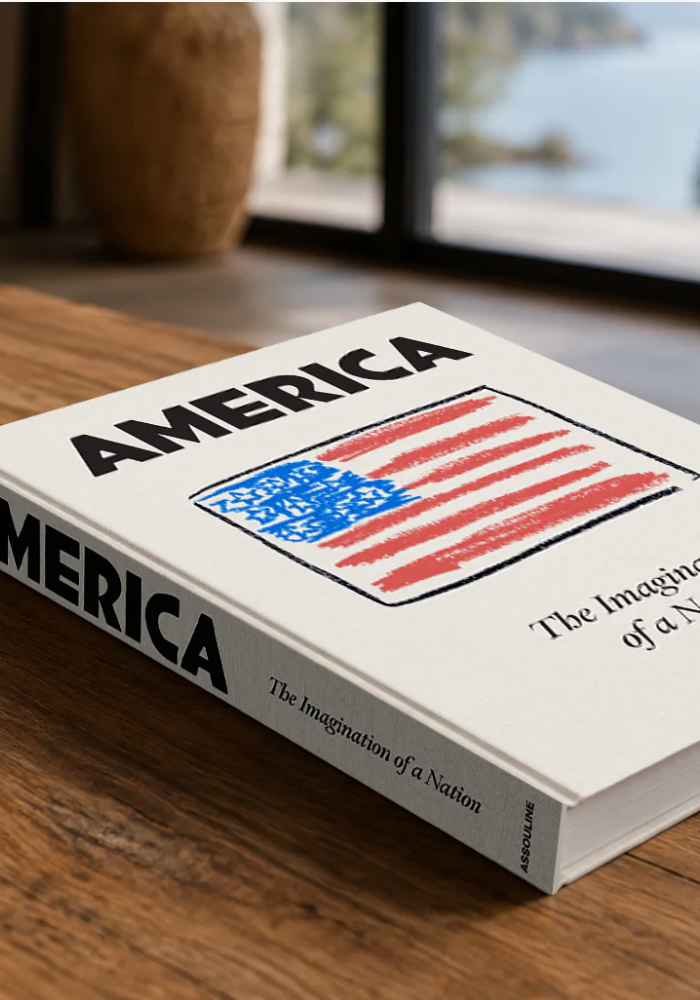 Livre America The Imagination Of A Nation - Assouline