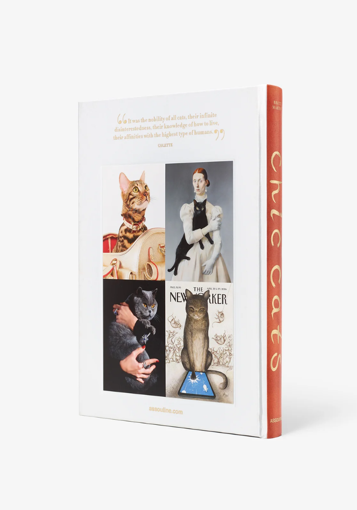 Livre Chic Cats - Assouline