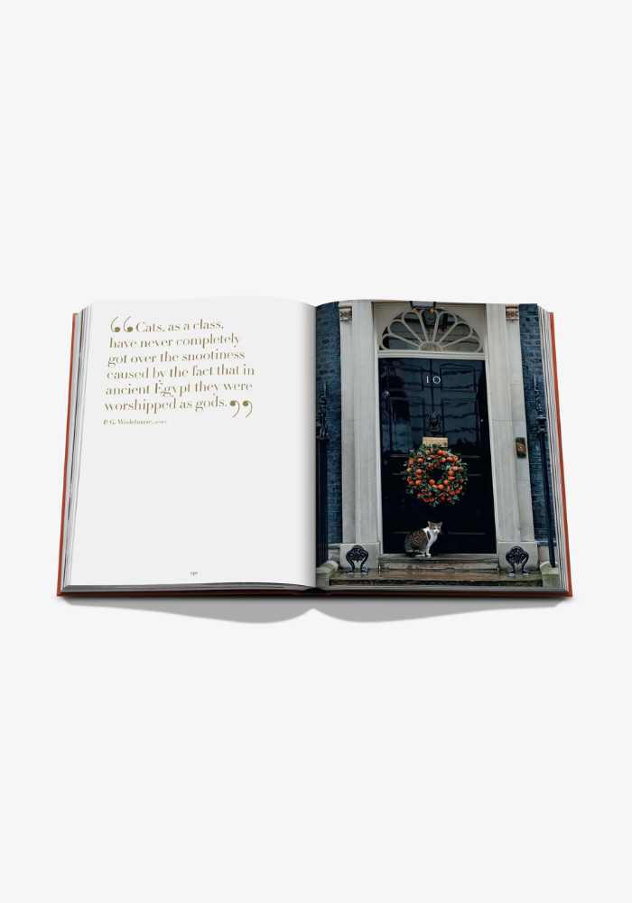 Livre Chic Cats - Assouline