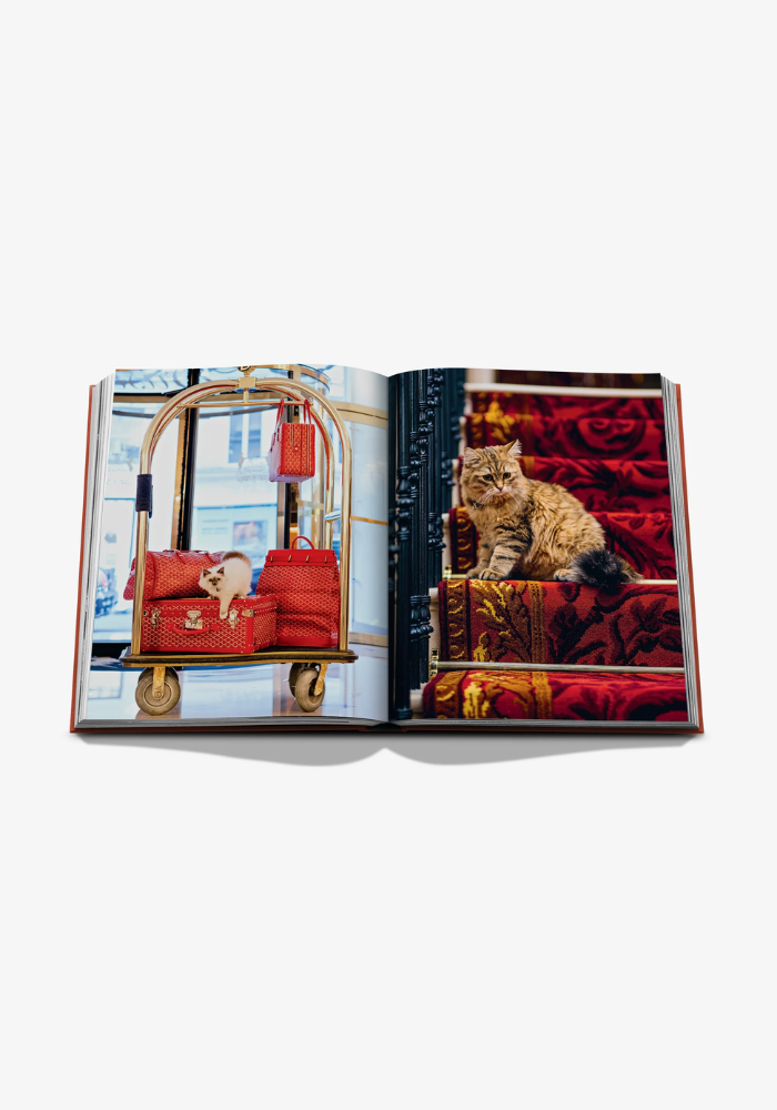 Livre Chic Cats - Assouline