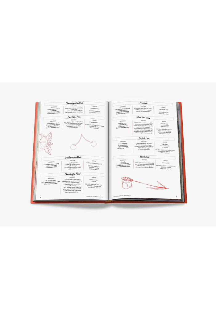 Livre Cocktail Chameleon - Assouline