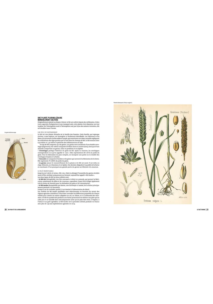 Livre De Recettes La Boulangerie - Maison D'Édition