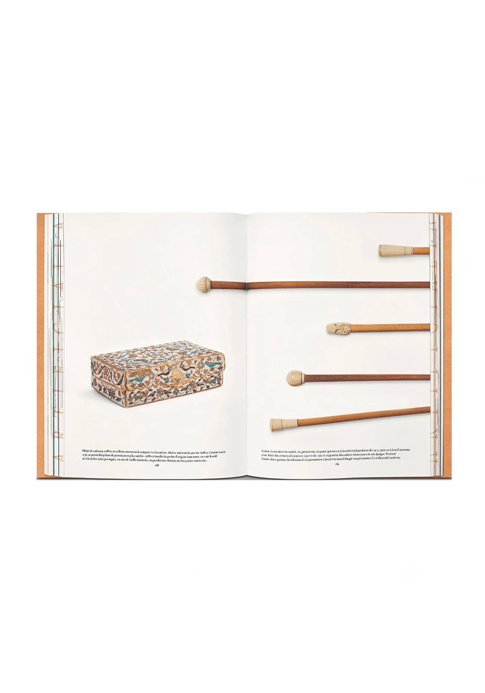 Livre Louis Vuitton : Cabinet Of Wonders - New Mags