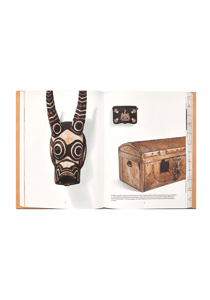 Livre Louis Vuitton : Cabinet Of Wonders - New Mags
