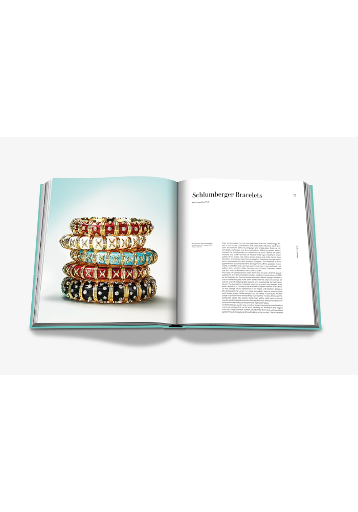 Livre Tiffany And Co Landmark - Assouline