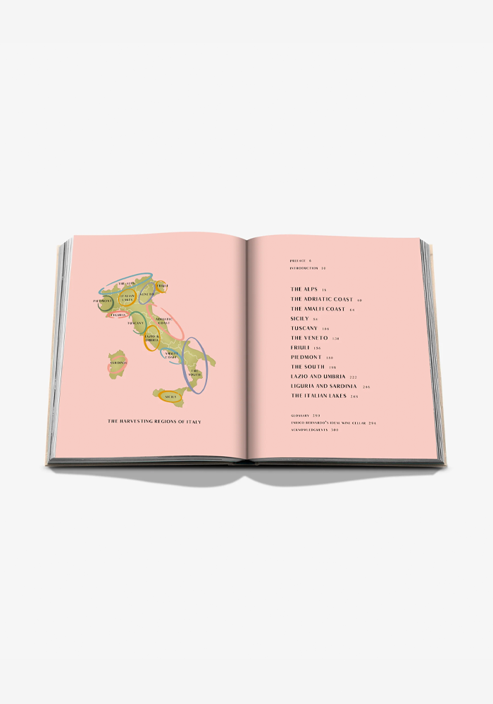 Livre Wine And Travel Italy - Assouline