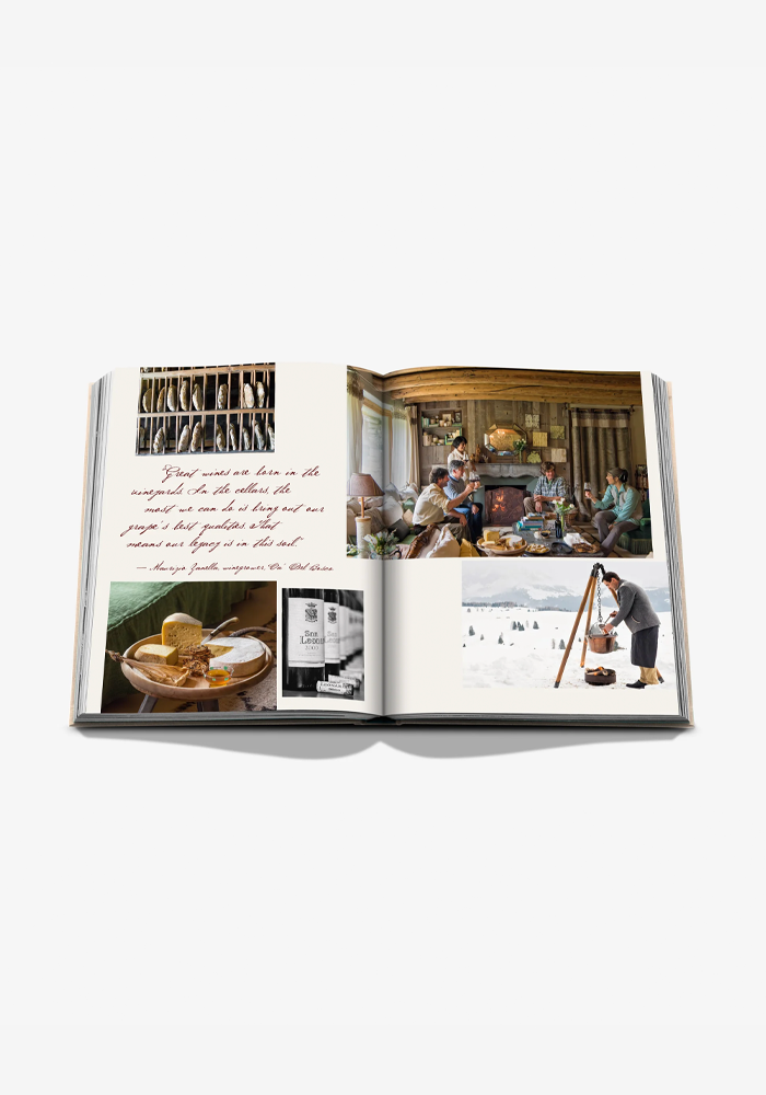 Livre Wine And Travel Italy - Assouline