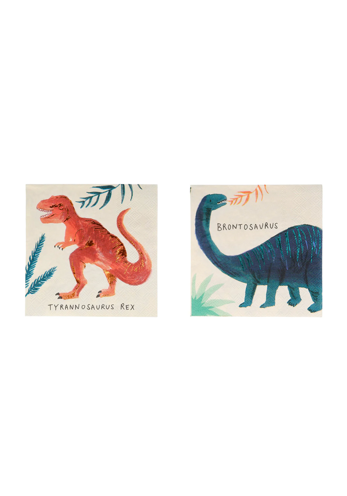 Lot De 16 Serviettes Dinosaures Petit Modèle - Meri Meri