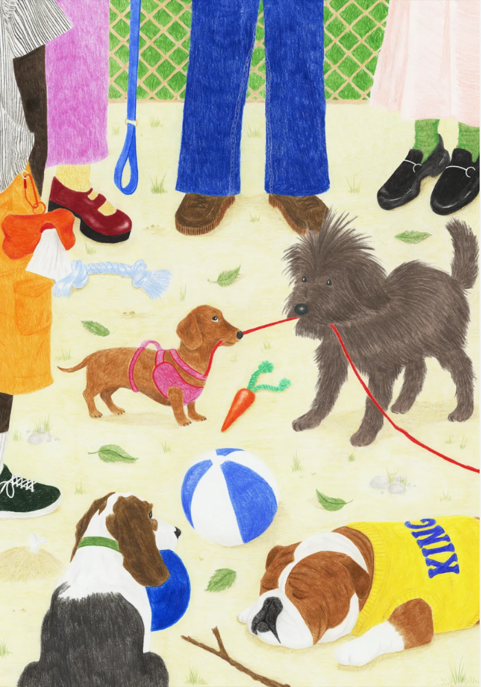 Puzzle 1000 Pièces Sortir Le Chien - Jour Férié