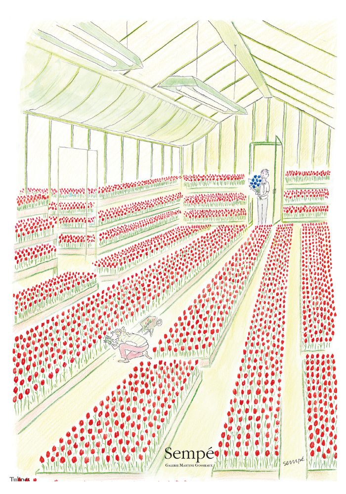 Puzzle Sempé Tulipes - Image Republic