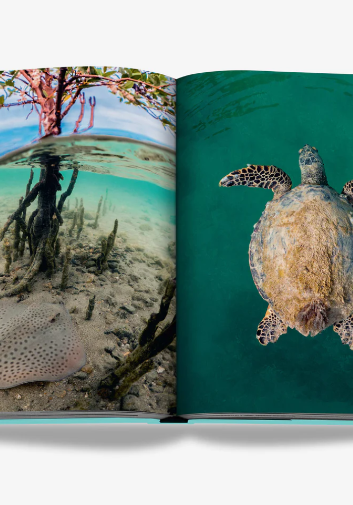 Livre Red Sea The Saudi Coast - Assouline