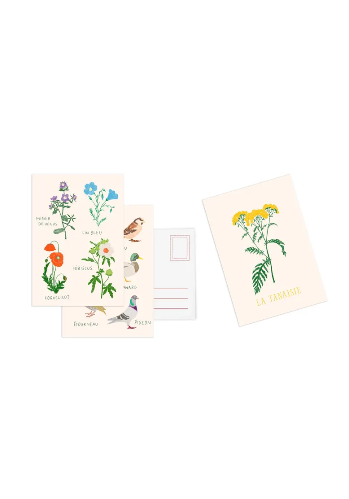Set De 10 Cartes Postales Fleurs - Maison D'Édition
