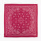 Red Paisley Bandana
