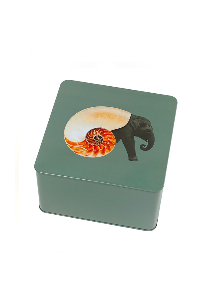 Boite Carrée Shellephant - Gangzaï Design