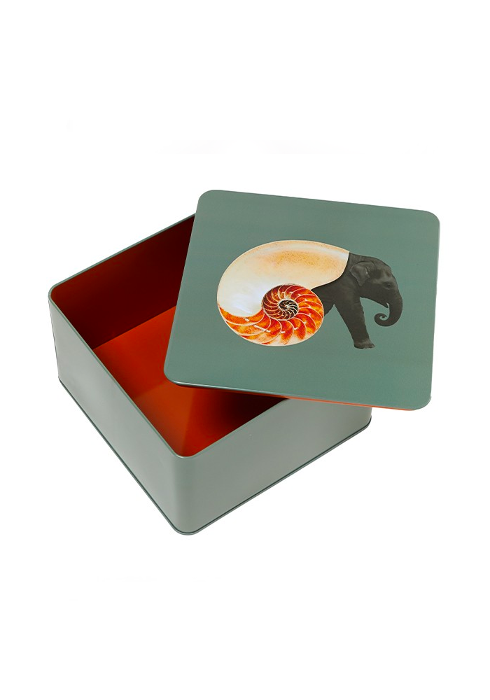 Boite Carrée Shellephant - Gangzaï Design