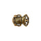 Mini Gold Scarab Belt Buckle
