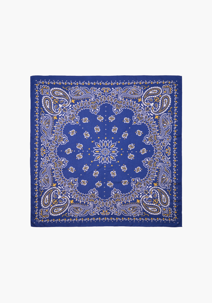 Foulard Paisley Bleu Medium - Wild Paris