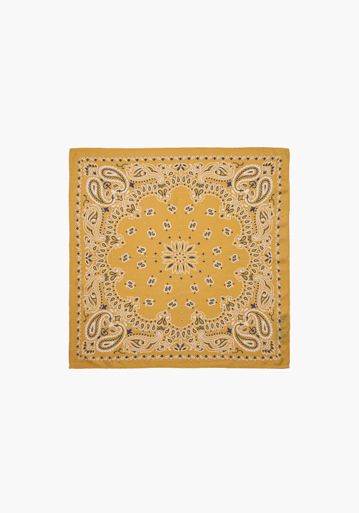 Foulard Paisley Camel Mini - Wild Paris