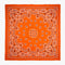 Foulard Paisley Terre Big