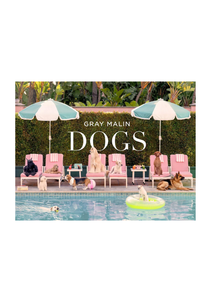 Livre Dogs Gray Main - Maison D'Édition