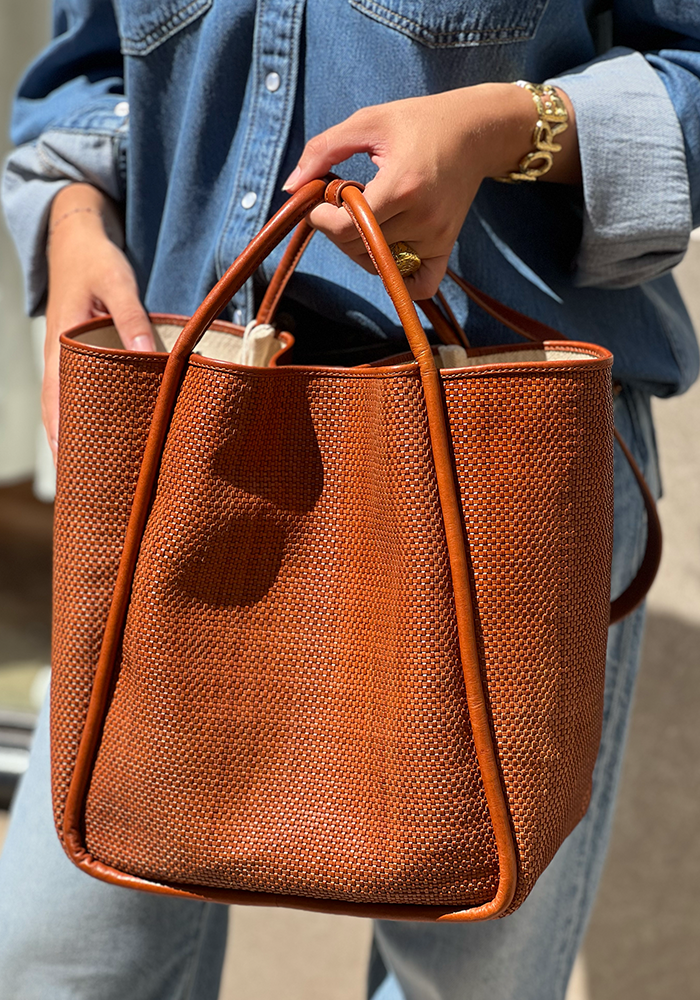 Sac Ana Tan - Dragon Diffusion