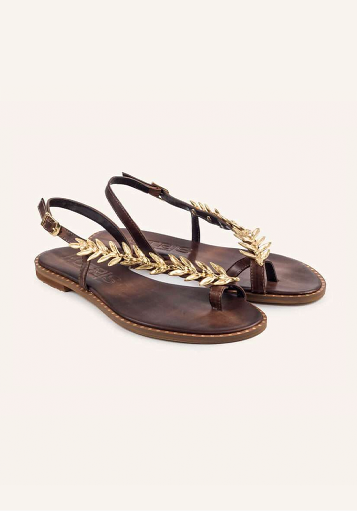 Sandales Elia 1 Bride Chocolat - Kotris