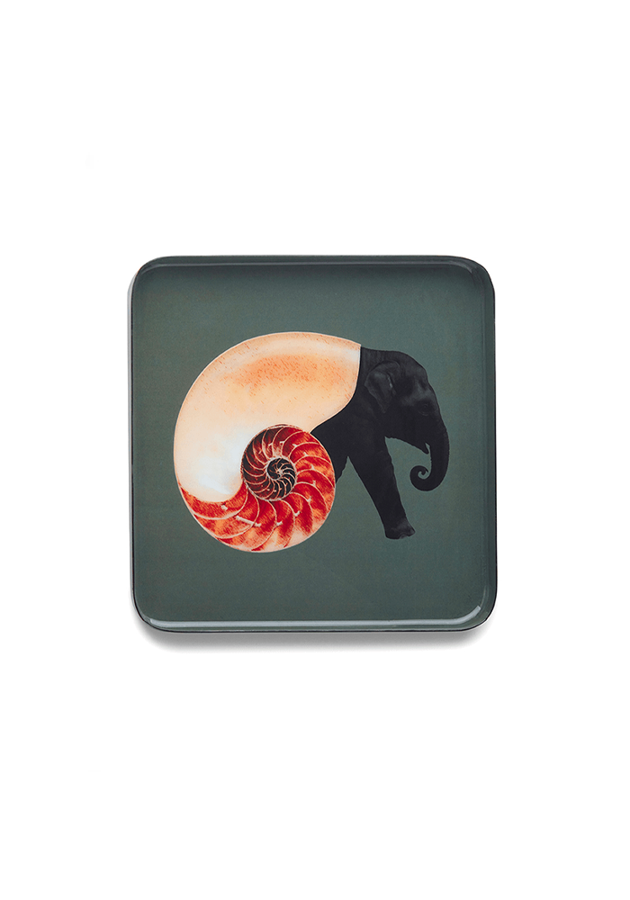 Vide-Poche Shellephant - Gangzaï Design