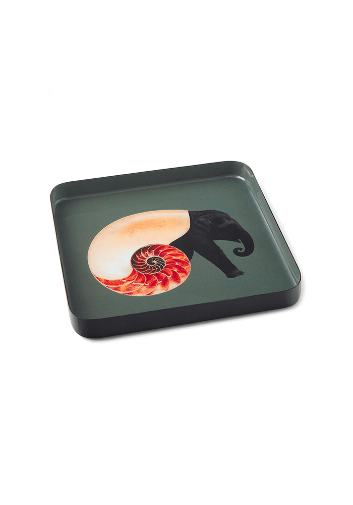 Vide-Poche Shellephant - Gangzaï Design