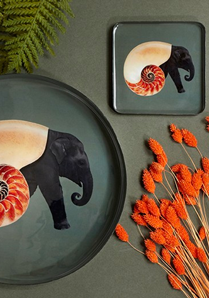Vide-Poche Shellephant - Gangzaï Design