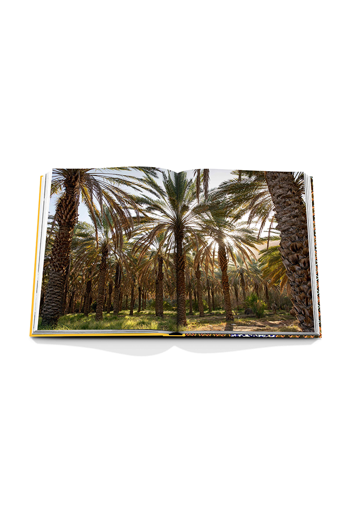 Livre Arabian Leopard Classic - Assouline