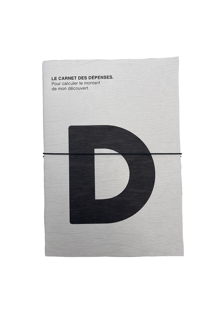 Carnet Des Dépenses - Félicie Aussi