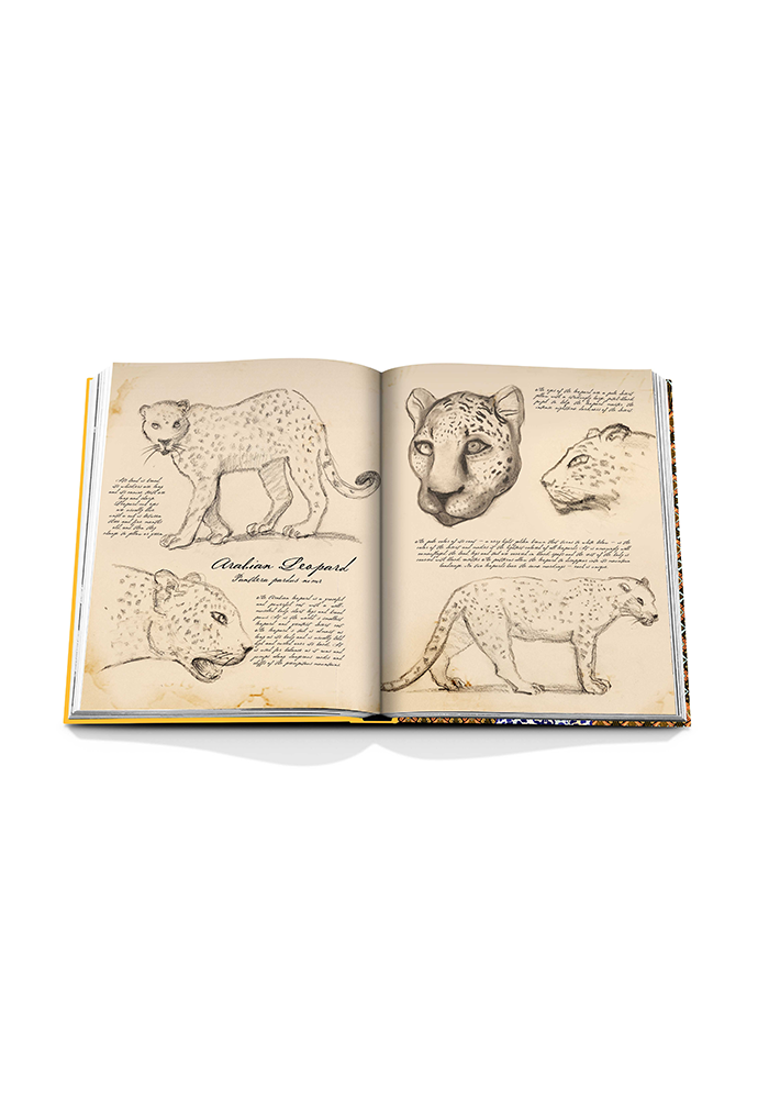 Livre Arabian Leopard Classic - Assouline