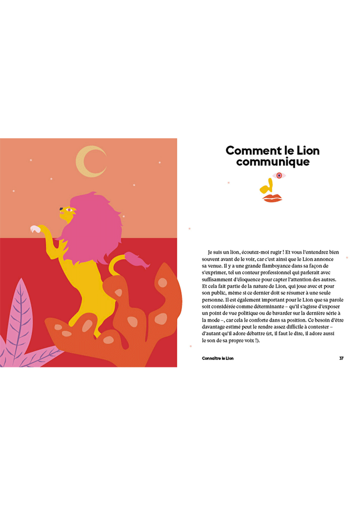 Livre Astro Lotus Lion - Hachette